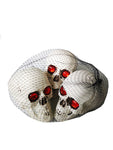 Halloween Plastic Skulls - Set Of 3 - 11 cm