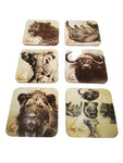 Big Five Coasters- 12 Pack
