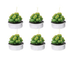 Tealight Candle Succulent Plant Designs 6 Pack