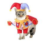 Dog & Cat Dress Up Costume - Jester Design