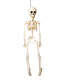 Halloween Skeleton - Plastic Adjustable Skeleton