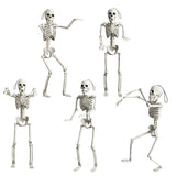 Halloween Skeleton - Plastic Adjustable Skeleton