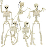 Halloween Skeleton - Plastic Adjustable Skeleton