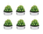 Tealight Candle Succulent Plant Designs 6 Pack