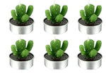 Tealight Candle Succulent Plant Designs 6 Pack