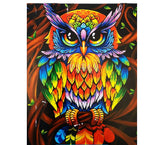 Paint By Numbers - 40 cm x 50 cm (various)