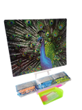 Peacock diamond painting Umlozi