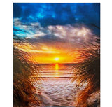 Paint By Numbers - 40 cm x 50 cm (various)