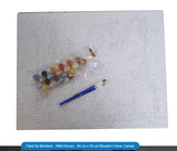 Paint By Numbers - 40 cm x 50 cm (various)