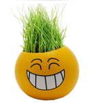 Growing Your Own Grass Heads